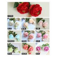 uploads/erp/collection/images/Home Garden/CongDing/XU0610918/img_b/XU0610918_img_b_4